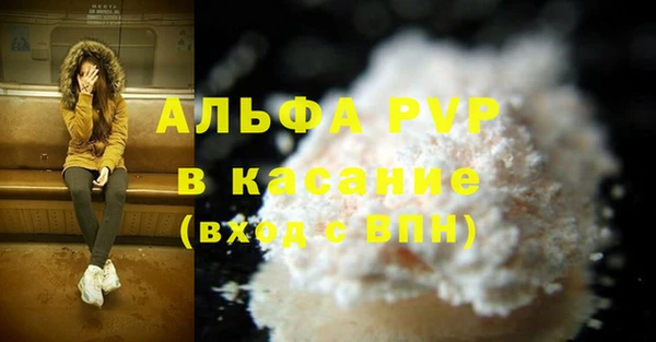 ECSTASY Вяземский