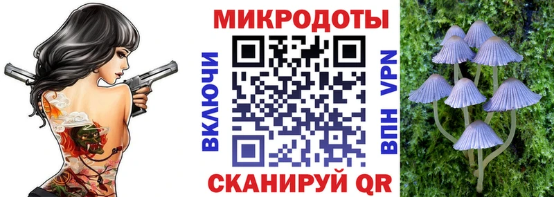 наркота  Зеленоградск  Галлюциногенные грибы Psilocybine cubensis 